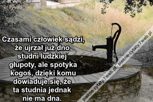 Czasami człowiek sądzi, że ujrzał już dno studni ludzkiej głupoty, ale spotyka kogoś, dzięki komu dowiaduje się, że ta studnia jednak nie ma dna.
