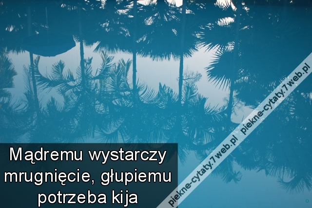 Mądremu wystarczy mrugnięcie, głupiemu potrzeba kija