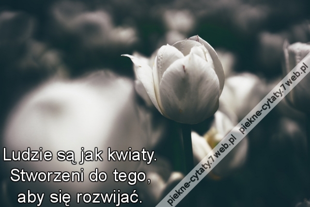Ludzie są jak kwiaty. Stworzeni do tego, aby się rozwijać.