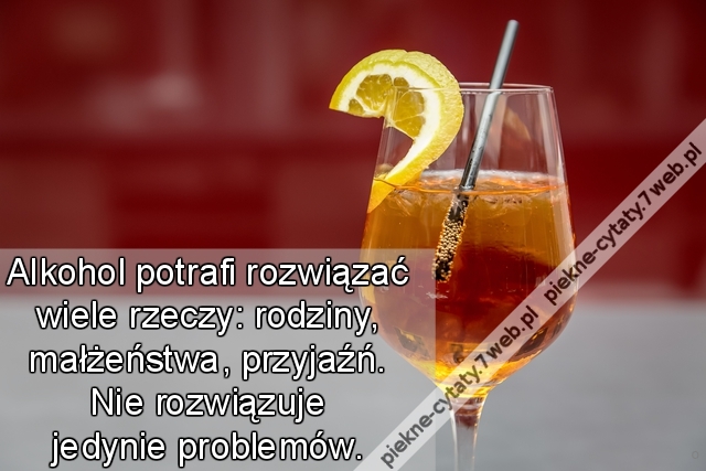 Alkohol potrafi rozwiązać wiele rzeczy: rodziny, małżeństwa, przyjaźń. Nie rozwiązuje jedynie problemów.