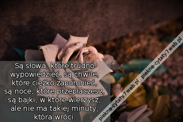 Są słowa , które trudno wypowiedzieć , są chwile , które ciężko zapomnieć , są noce , które przepłaczesz , są bajki , w które wierzysz , ale nie ma takiej minuty , która wróci.