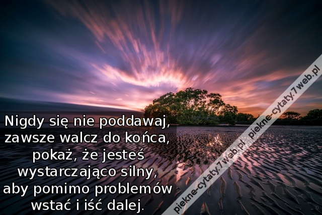 Nigdy się nie poddawaj, zawsze walcz do końca, pokaż, że jesteś wystarczająco silny, aby pomimo problemów wstać i iść dalej.