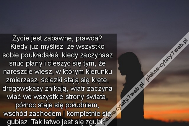Życie jest zabawne, prawda? Kiedy już myślisz, że wszystko sobie poukładałeś, kiedy zaczynasz snuć plany i cieszyć się tym, że nareszcie wiesz, w którym kierunku zmierzasz, ścieżki stają się kręte, drogowskazy znikają, wiatr zaczyna wiać we wszystkie stro