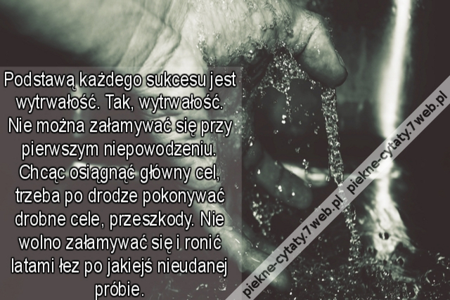 Podstawą każdego sukcesu jest wytrwałość. Tak, wytrwałość. Nie można załamywać się przy pierwszym niepowodzeniu. Chcąc osiągnąć główny cel, trzeba po drodze pokonywać drobne cele, przeszkody. Nie wolno załamywać się i ronić latami łez po jakiejś nieudanej