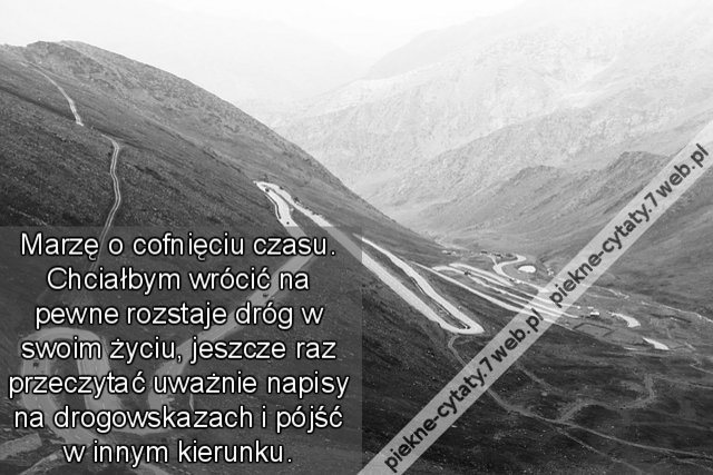 Marzę o cofnięciu czasu. Chciałbym wrócić na pewne rozstaje dróg w swoim życiu, jeszcze raz przeczytać uważnie napisy na drogowskazach i pójść w innym kierunku.