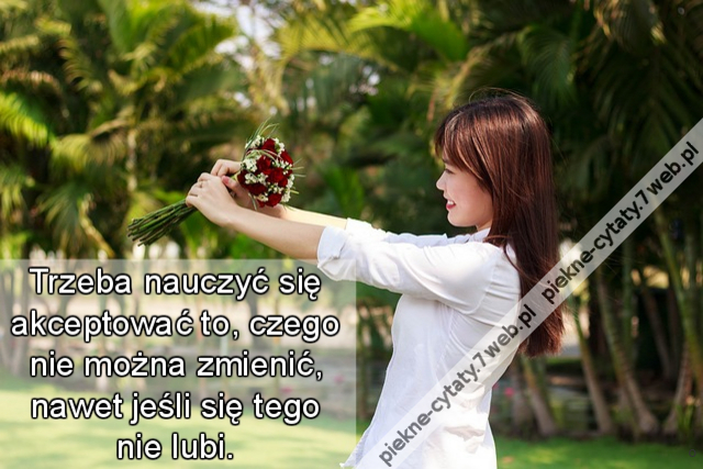 Trzeba nauczyć się akceptować to, czego nie można zmienić, nawet jeśli się tego nie lubi.