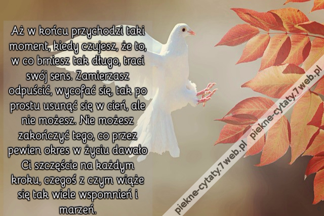 Aż w końcu przychodzi taki moment, kiedy czujesz, że to, w co brniesz tak długo, traci swój sens. Zamierzasz odpuścić, wycofać się, tak po prostu usunąć się w cień, ale nie możesz. Nie możesz zakończyć tego, co przez pewien okres w życiu dawało Ci szczęśc