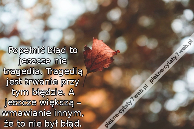 Popełnić błąd to jeszcze nie tragedia. Tragedią jest trwanie przy tym błędzie. A jeszcze większą – wmawianie innym, że to nie był błąd.