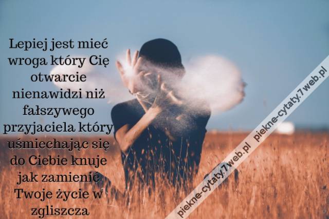 Lepiej jest mieć wroga który Cię otwarcie nienawidzi niż fałszywego przyjaciela który uśmiechając się do Ciebie knuje jak zamienić Twoje życie w zgliszcza