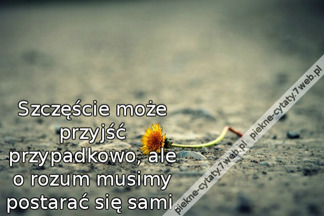 Szczęście może przyjść przypadkowo, ale o rozum musimy postarać się sami.