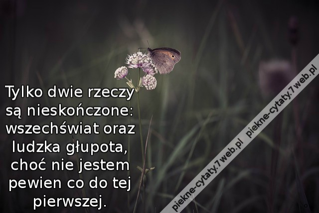 Tylko dwie rzeczy są nieskończone: wszechświat oraz ludzka głupota, choć nie jestem pewien co do tej pierwszej.