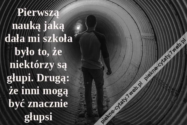 Pierwszą nauką jaką dała mi szkoła było to, że niektórzy są głupi. Drugą: że inni mogą być znacznie głupsi