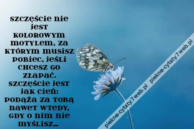 Szczęście nie jest kolorowym motylem, za którym musisz pobiec, jeśli chcesz go złapać. Szczęście jest jak cień: podąża za tobą nawet wtedy, gdy o nim nie myślisz…