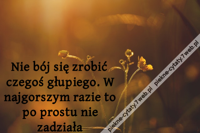 Nie bój się zrobić czegoś głupiego. W najgorszym razie to po prostu nie zadziała