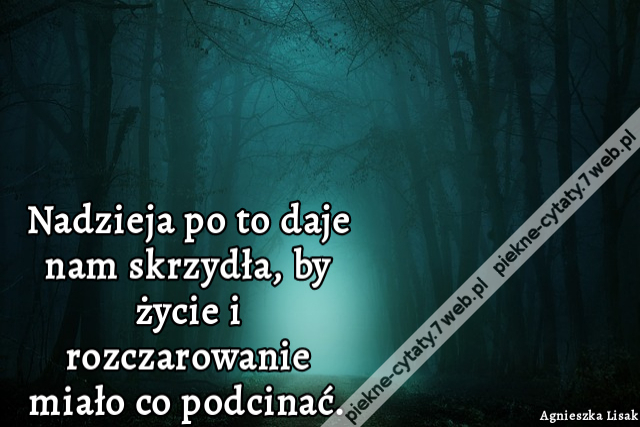 Nadzieja po to daje nam skrzydła, by życie i rozczarowanie miało co podcinać.