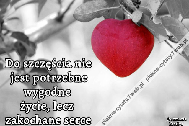 Do szczęścia nie jest potrzebne wygodne życie, lecz zakochane serce