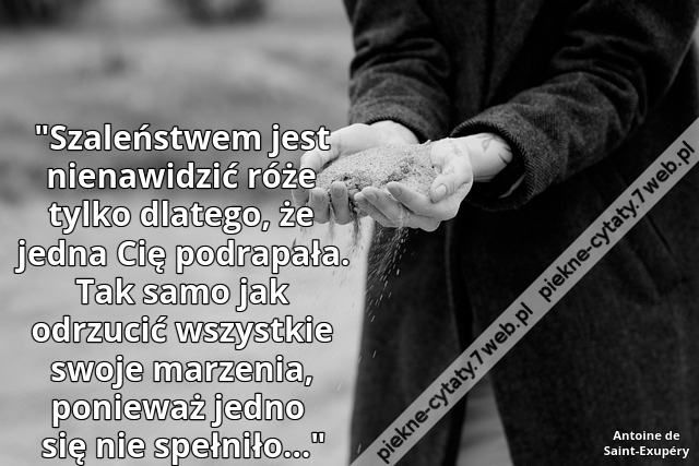 Szaleństwem jest nienawidzić róże tylko dlatego, że jedna Cię podrapała. Tak samo jak odrzucić wszystkie swoje marzenia, ponieważ jedno się nie spełniło…