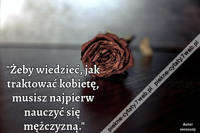 "Żeby wiedzieć, jak traktować kobietę, musisz najpierw nauczyć się być mężczyzną."