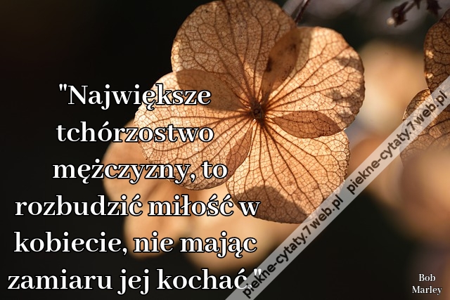"Największe tchórzostwo mężczyzny, to rozbudzić miłość w kobiecie, nie mając zamiaru jej kochać."