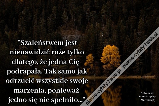 Szaleństwem jest nienawidzić róże tylko dlatego, że jedna Cię podrapała. Tak samo jak odrzucić wszystkie swoje marzenia, ponieważ jedno się nie spełniło…i