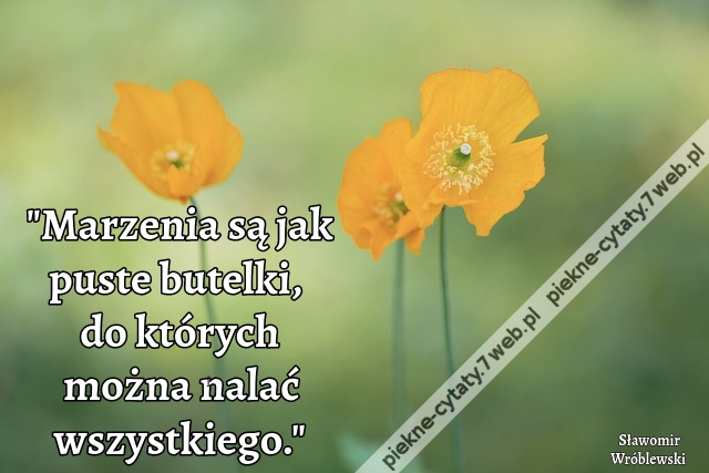 Marzenia są jak puste butelki, do których można nalać wszystkiego.