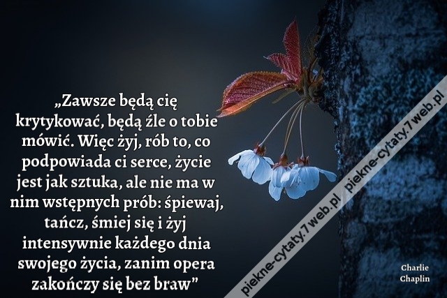 „Zawsze będą cię krytykować, będą źle o tobie mówić. Więc żyj, rób to, co podpowiada ci serce, życie jest jak sztuka, ale nie ma w nim wstępnych prób: śpiewaj, tańcz, śmiej się i żyj intensywnie każdego dnia swojego życia, zanim opera zakończy się bez bra