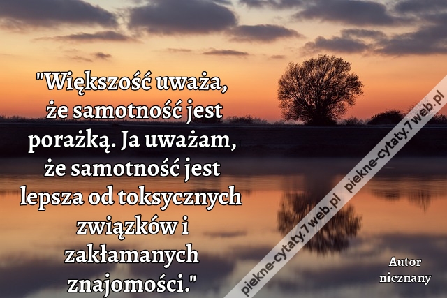 "Większość uważa, że samotność jest porażką. Ja uważam, że samotność jest lepsza od toksycznych związków i zakłamanych znajomości."