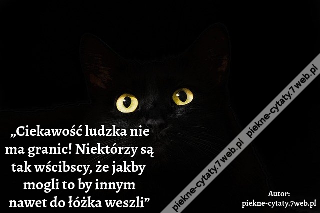 „Ciekawość ludzka nie ma granic! Niektórzy są tak wścibscy, że jakby  mogli to by innym nawet do łóżka weszli”