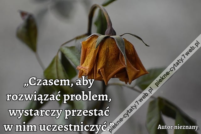 „Czasem, aby rozwiązać problem, wystarczy przestać w nim uczestniczyć.”