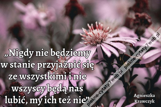 „Nigdy nie będziemy w stanie przyjaźnić się ze wszystkimi i nie wszyscy będą nas lubić, my ich też nie”