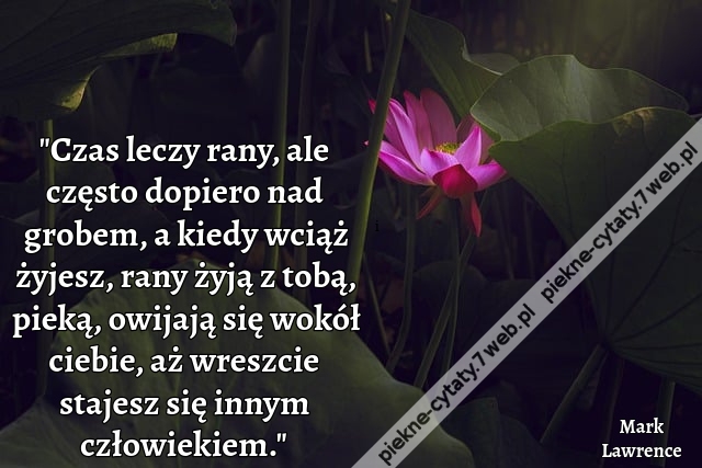 „Czas leczy rany, ale często dopiero nad grobem, a kiedy wciąż żyjesz, rany żyją z tobą, pieką, owijają się wokół ciebie, aż wreszcie stajesz się innym człowiekiem”
