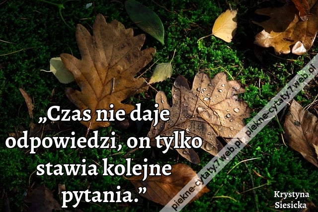 „Czas nie daje odpowiedzi, on tylko stawia kolejne pytania.”