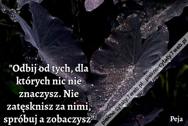 Odbij od tych, dla których nic nie znaczysz. Nie zatęsknisz za nimi, spróbuj a zobaczysz - Peja