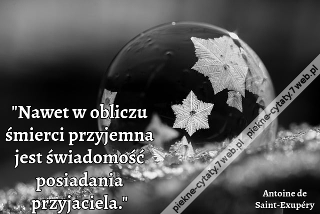 Nawet w obliczu śmierci przyjemna jest świadomość posiadania przyjaciela.