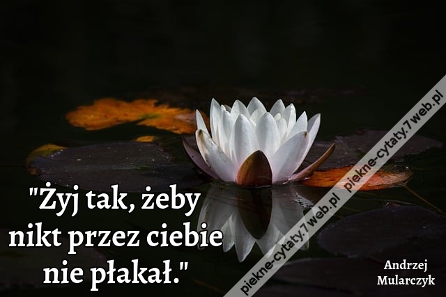 Żyj tak, żeby nikt przez ciebie nie płakał.