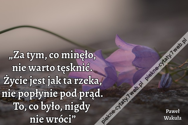 „Za tym, co minęło, nie warto tęsknić. Życie jest jak ta rzeka, nie popłynie pod prąd. To, co było, nigdy nie wróci”