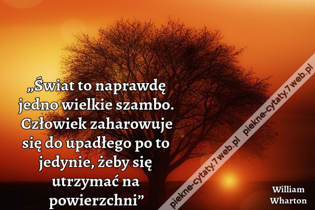 „Świat to naprawdę jedno wielkie szambo. Człowiek zaharowuje się do upadłego po to jedynie, żeby się utrzymać na powierzchni”