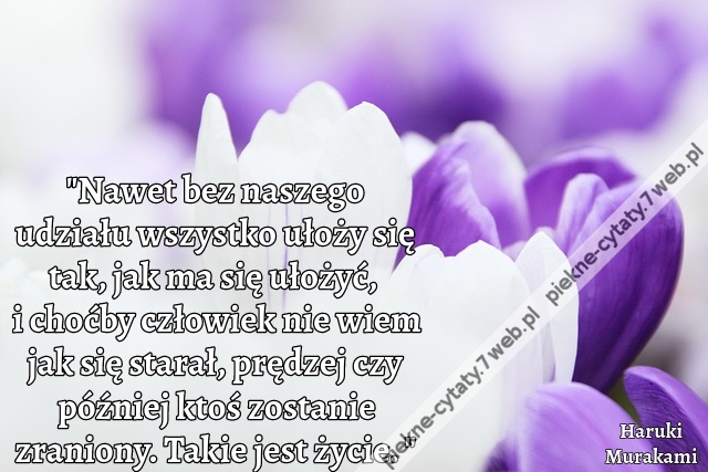Nawet bez naszego udziału wszystko ułoży się tak, jak ma się ułożyć, i choćby człowiek nie wiem jak się starał, prędzej czy później ktoś zostanie zraniony. Takie jest życie.