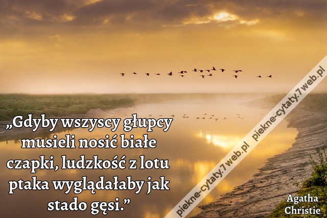 „Gdyby wszyscy głupcy musieli nosić białe czapki, ludzkość z lotu ptaka wyglądałaby jak stado gęsi.”